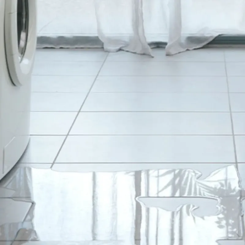 Appliance Leak Cleanup in Campbell, FL