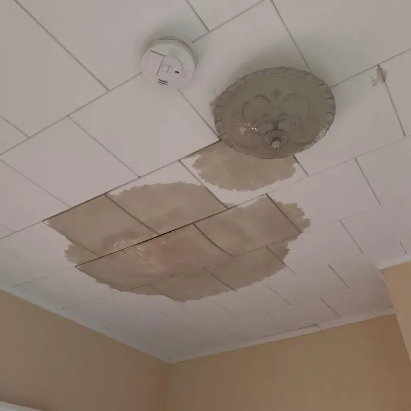 Ceiling Water Damage Repair in Campbell, FL